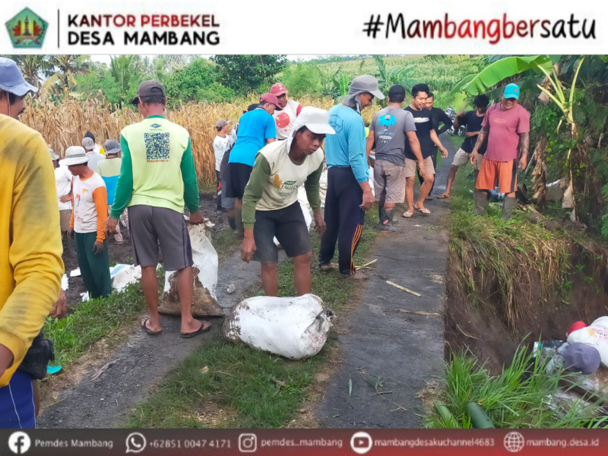 GOTONG-ROYONG KEPALA WILAYAH BERSAMA WARGA BANJAR MAMBANG CELUK KELOD